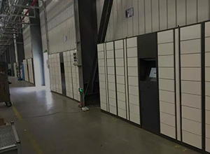 企業(yè)倉庫電子儲物柜管理柜